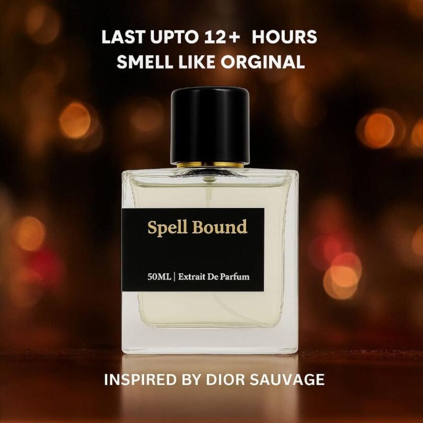 WhatsApp Image 2025-06-27 at 16.59.16